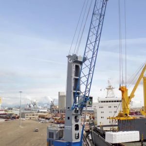 4GottwaldƄ(dng)ʽۿؙC(j)nل(chung)ѿ(j)