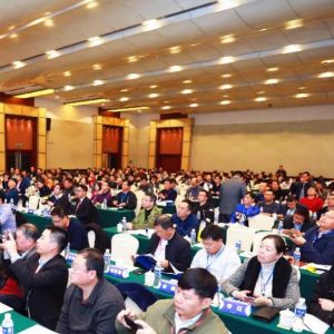 ɽ|xؙCе޹˾ӵЇؙCе̙CеgWg(chung)°l(f)չ